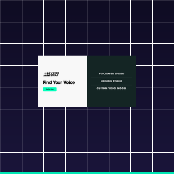 Voice-Swap — AI vocal transformation for music producers and content creators
