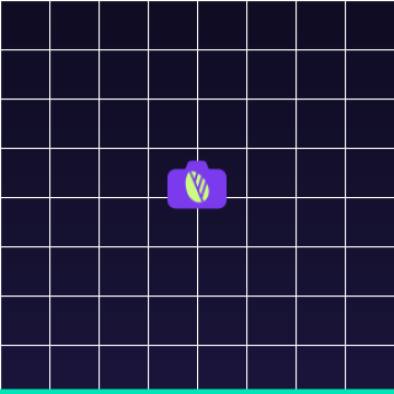PlantPhotoAI — AI-Generated Plant Photography for E-Commerce and Design Teams