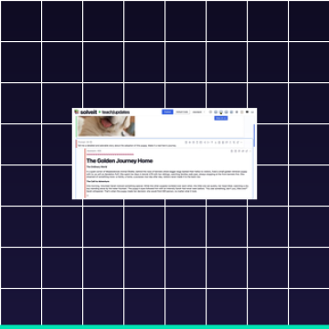 Fast.ai Practical Deep Learning Certificates — AI Skills for Small Business Owners & Developers