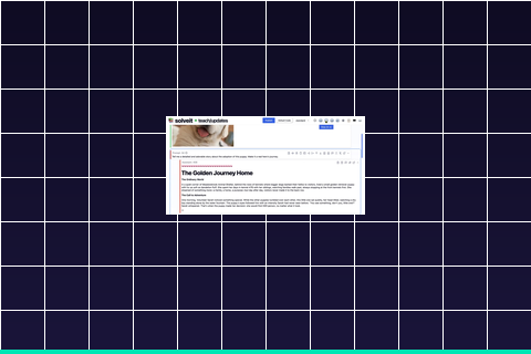 Fast.ai Practical Deep Learning Certificates — AI Skills for Small Business Owners & Developers
